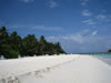 La spiaggia bianchissima del Fihalohi (Atollo MALE SUD)