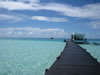 My Gallery: Image