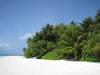La spiaggia bianchissima del Fihalohi (Atollo MALE SUD)